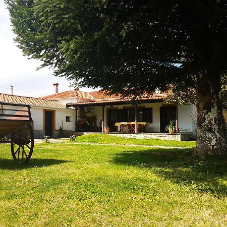 Yiayia'S Rina'S Lovely Cottage Pteria Экстерьер фото